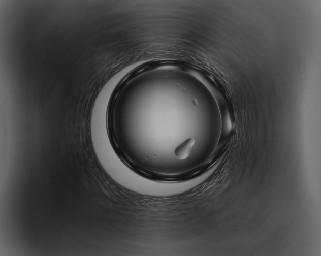 X0000095920868200801111233