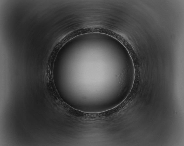 X0000095920871200801111233