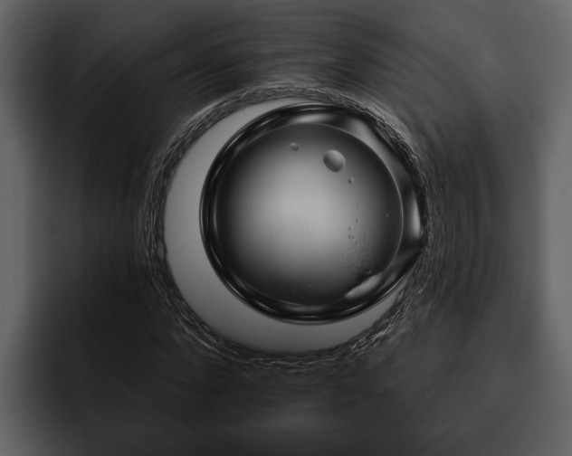 X0000095920872200801111233