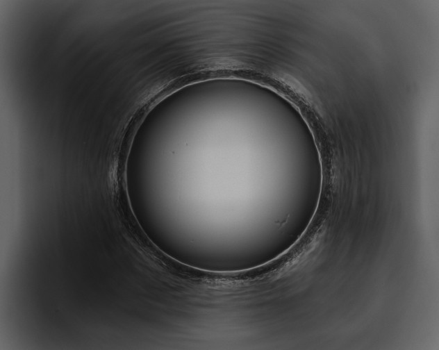X0000095920873200801111233