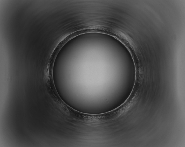 X0000095920875200801111233