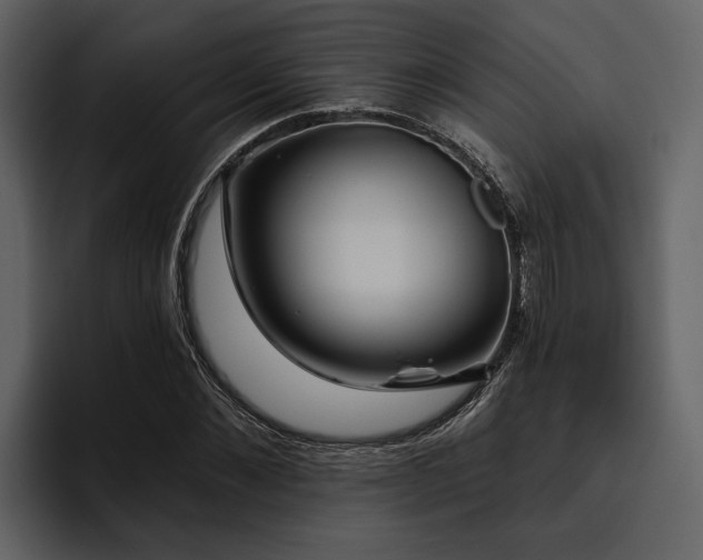 X0000095920876200801111233