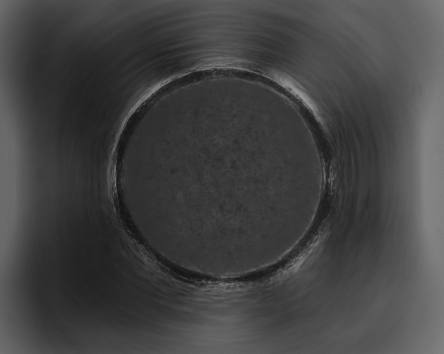 X0000095920877200801111233