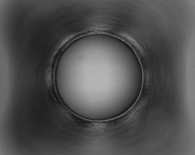 X0000095920878200801111233
