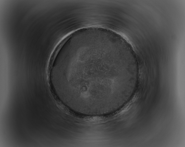 X0000095920879200801111233