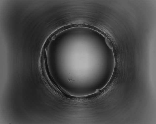 X0000095920880200801111233