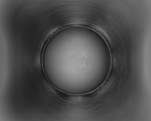 X0000095920882200801111233