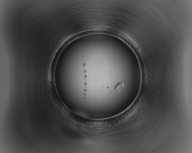 X0000095920883200801111233