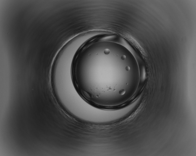 X0000095920884200801111233