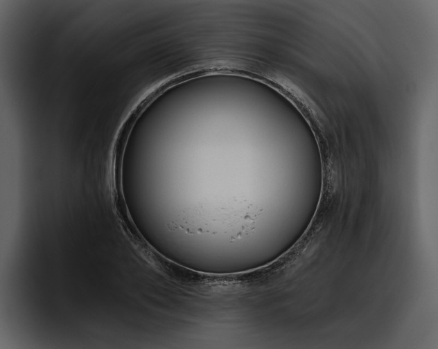 X0000095920886200801111233