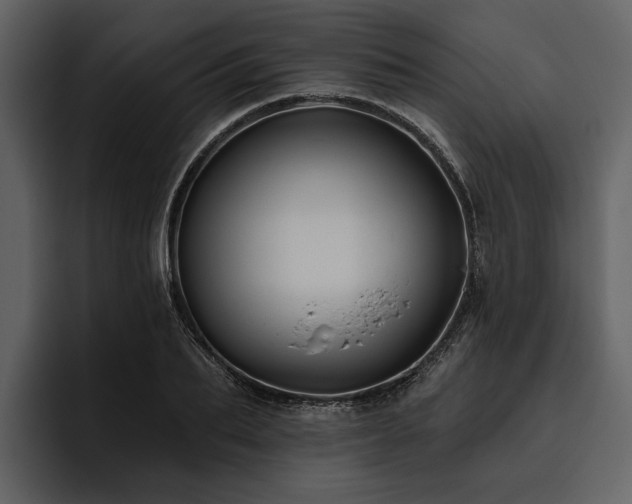 X0000095920887200801111233