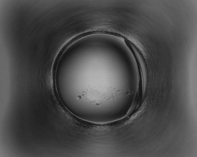 X0000095920888200801111233