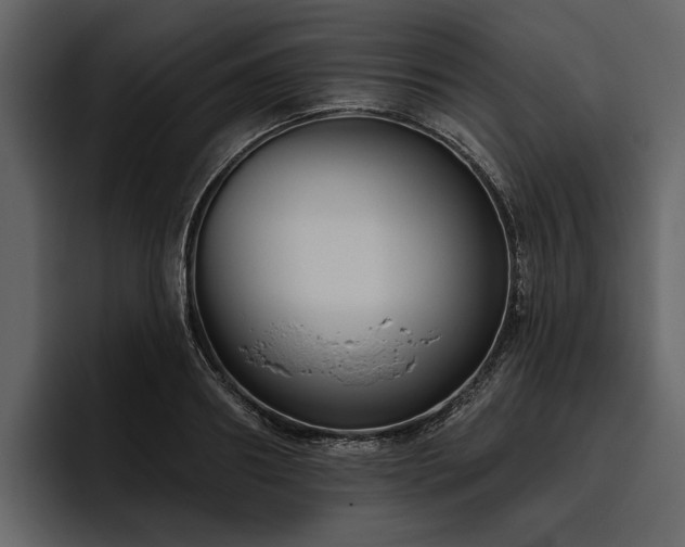 X0000095920890200801111233