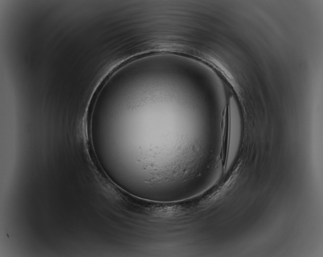 X0000095920891200801111233