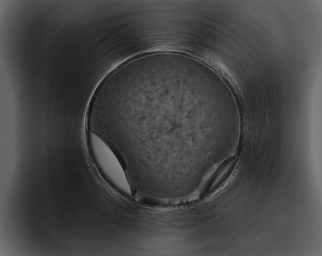 X0000095920892200801111233