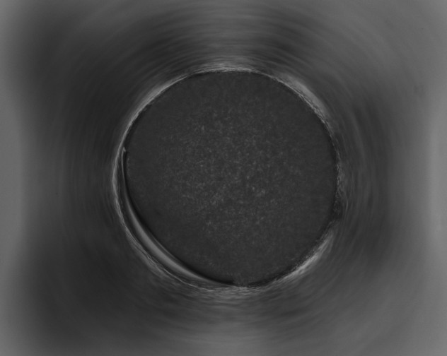 X0000095920893200801111233