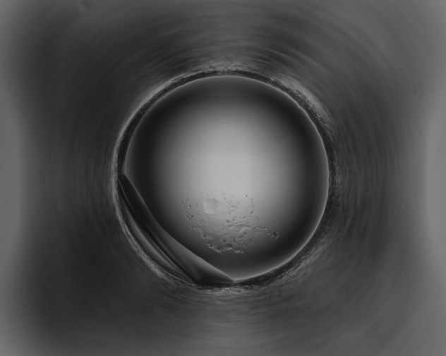 X0000095920894200801111233