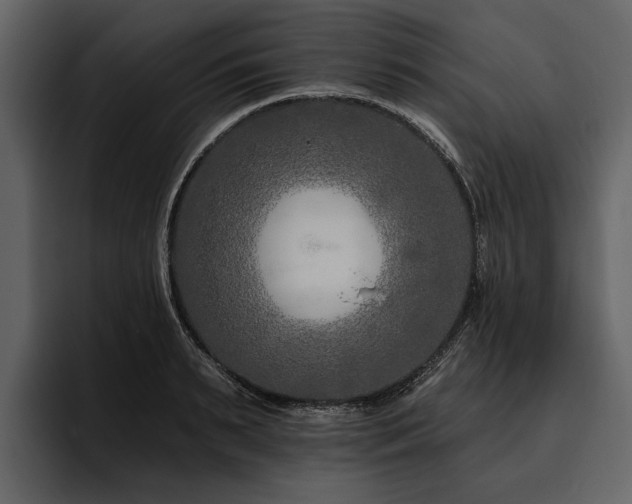 X0000095920895200801111233