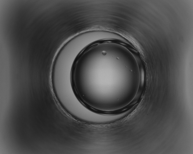 X0000095920896200801111233