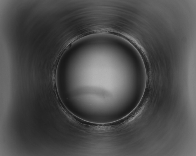 X0000095920897200801111233