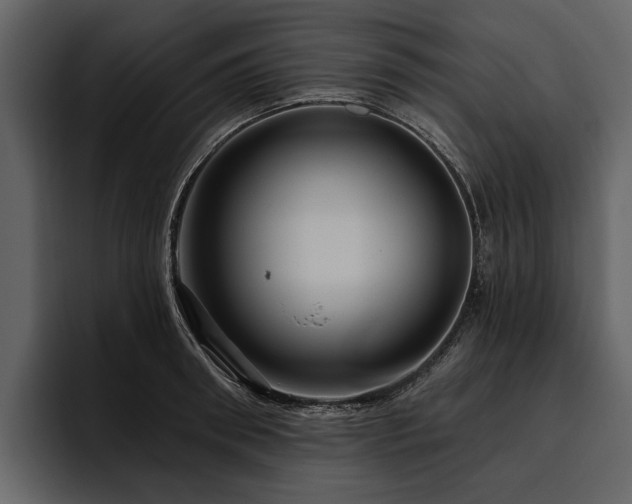 X0000095920898200801111233