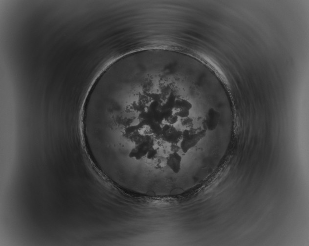 X0000095920899200801111233