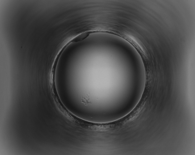 X0000095920900200801111233
