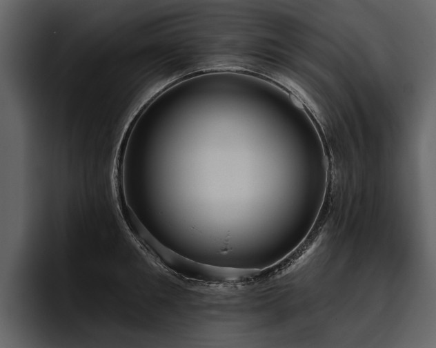 X0000095920901200801111233