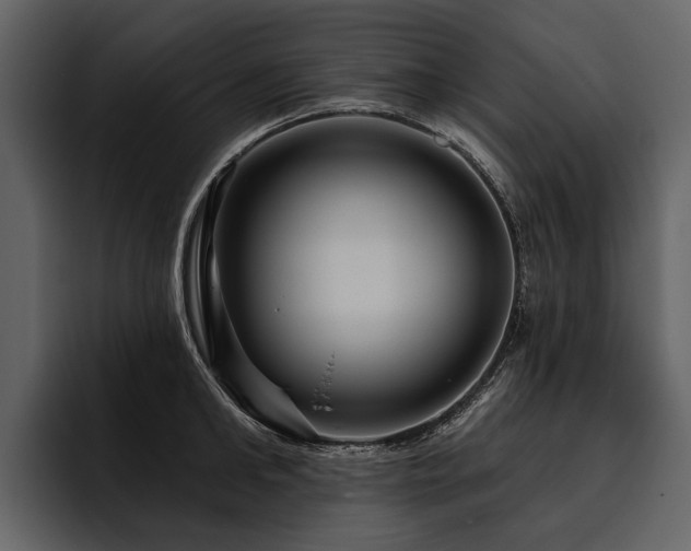 X0000095920902200801111233