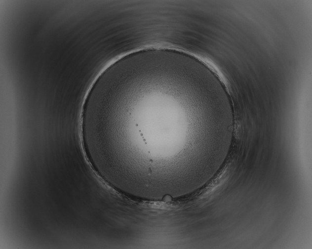 X0000095920903200801111233