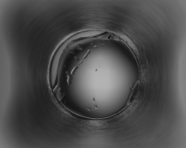 X0000095920904200801111233