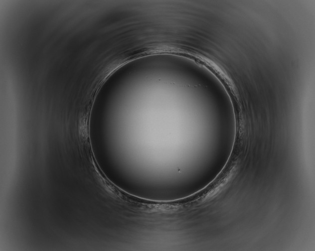 X0000095920905200801111233