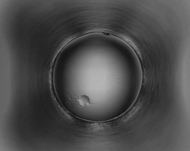 X0000095920906200801111233