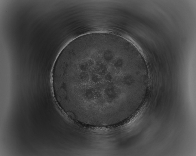 X0000095920907200801111233