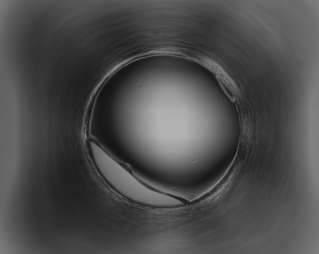 X0000095920908200801111233