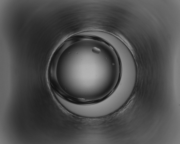 X0000095920909200801111232