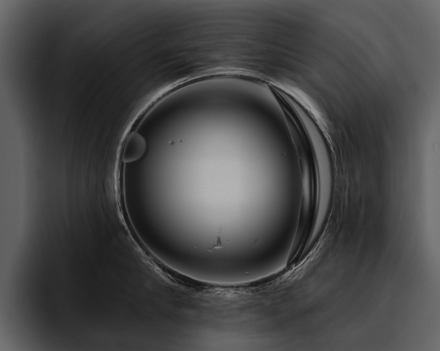 X0000095920910200801111232