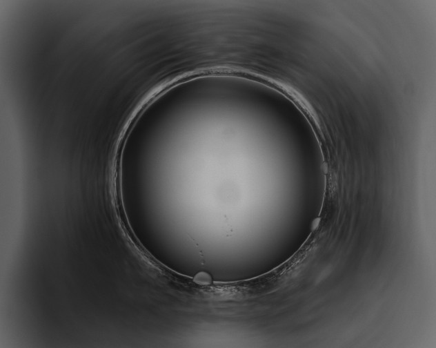 X0000095920911200801111232