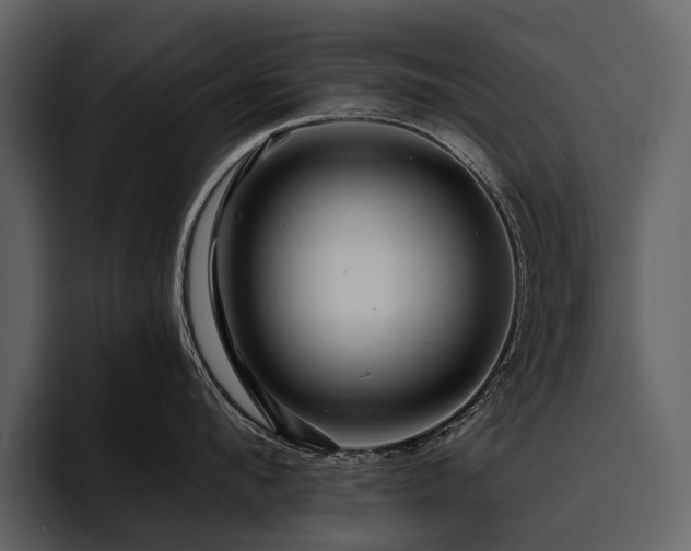 X0000095920912200801111232