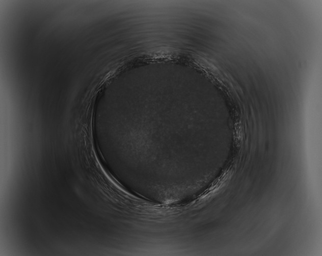 X0000095920916200801111232