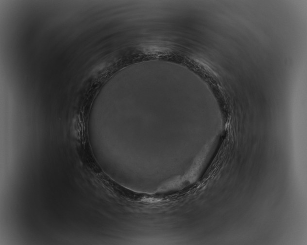 X0000095920917200801111232