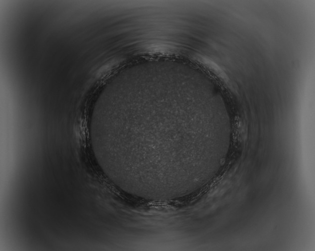 X0000095920918200801111232