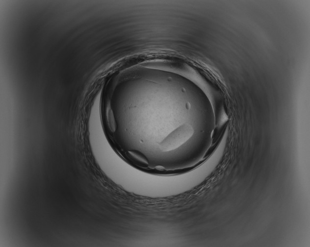 X0000095920920200801111232