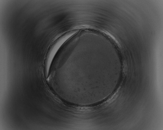 X0000095920921200801111232