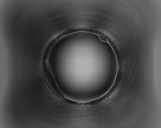 X0000095920922200801111232