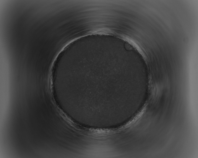 X0000095920923200801111232