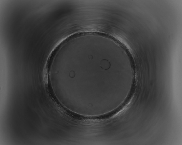 X0000095920925200801111232