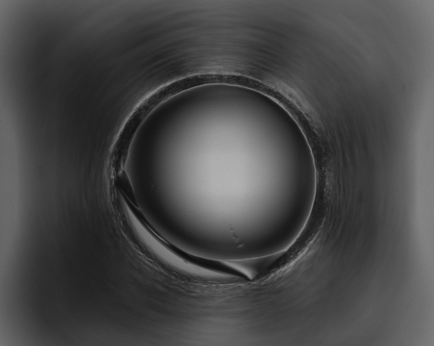 X0000095920926200801111232