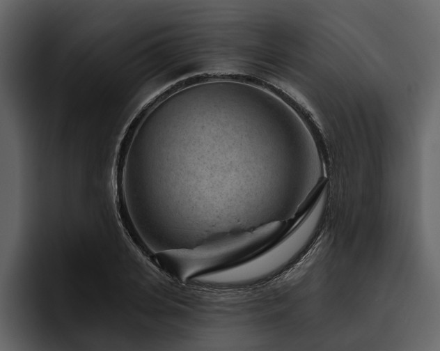 X0000095920935200801111232