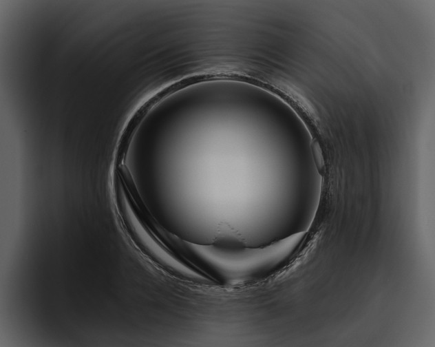 X0000095920936200801111232